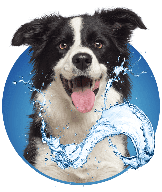 John Stevenson Plumbing, Heating & Air Conditioning, Inc. – San Diego plumbing and HVAC services